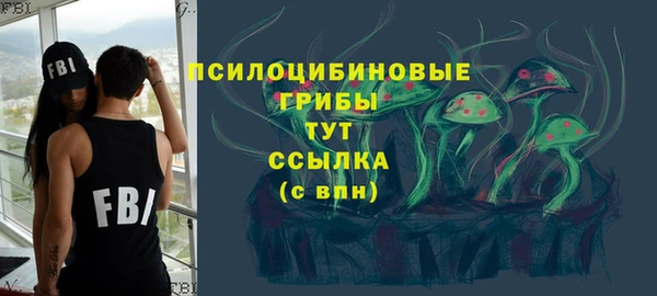 ешки Вязьма