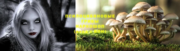 ешки Вязники