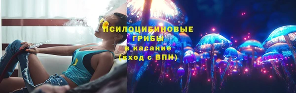ешки Вязьма