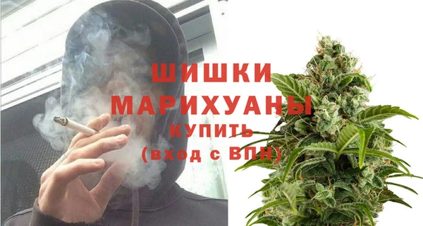 ешки Вязьма