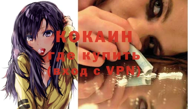ешки Вязьма